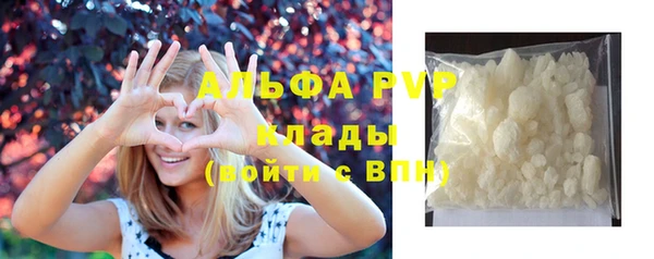 сатива Нефтекумск