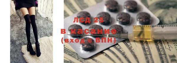 сатива Нефтекумск