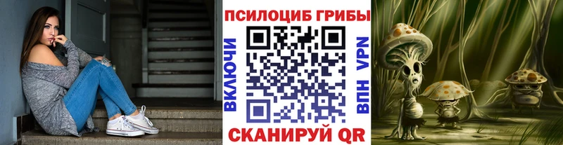 закладка  Котельники  Псилоцибиновые грибы мицелий 