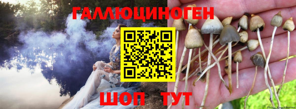 Галлюциногенные грибы мицелий Котельники